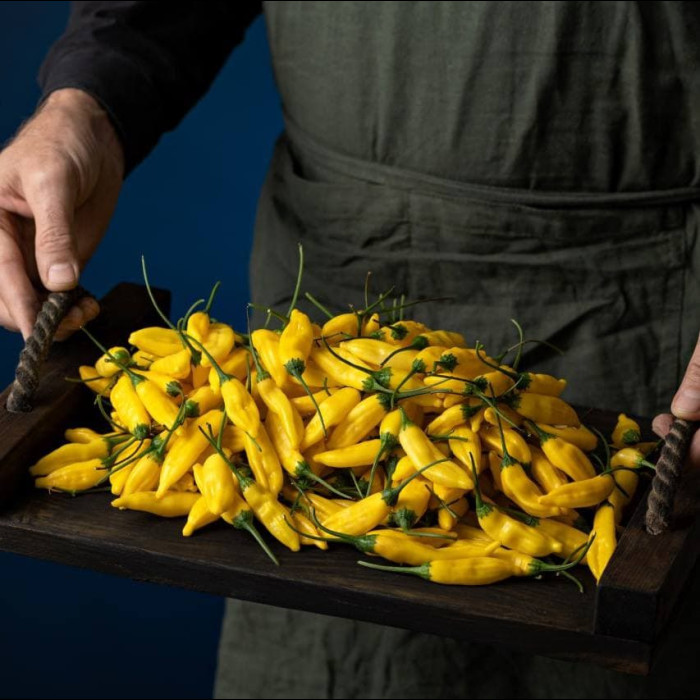 Lemon Drop свіжий перець