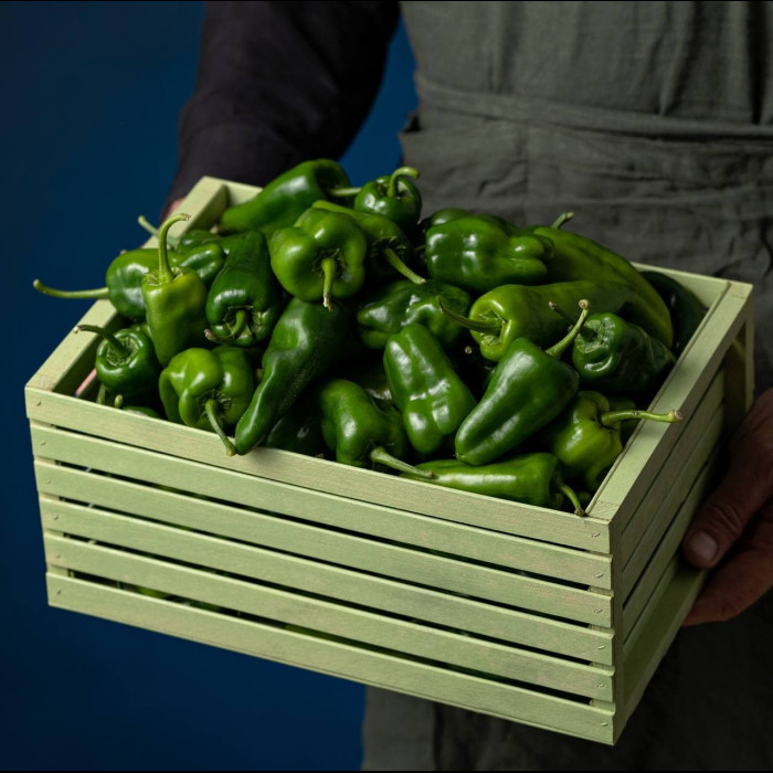 Padron свіжий перець 