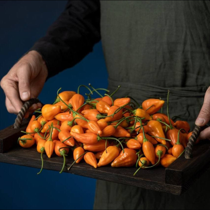 Fatalii Boss свіжий перець