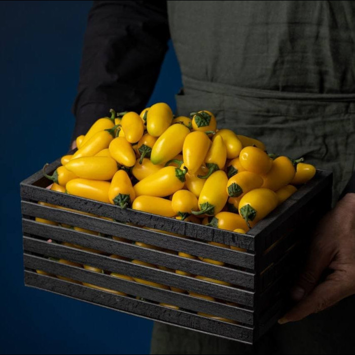  Jalapeño Yellow свіжий перець