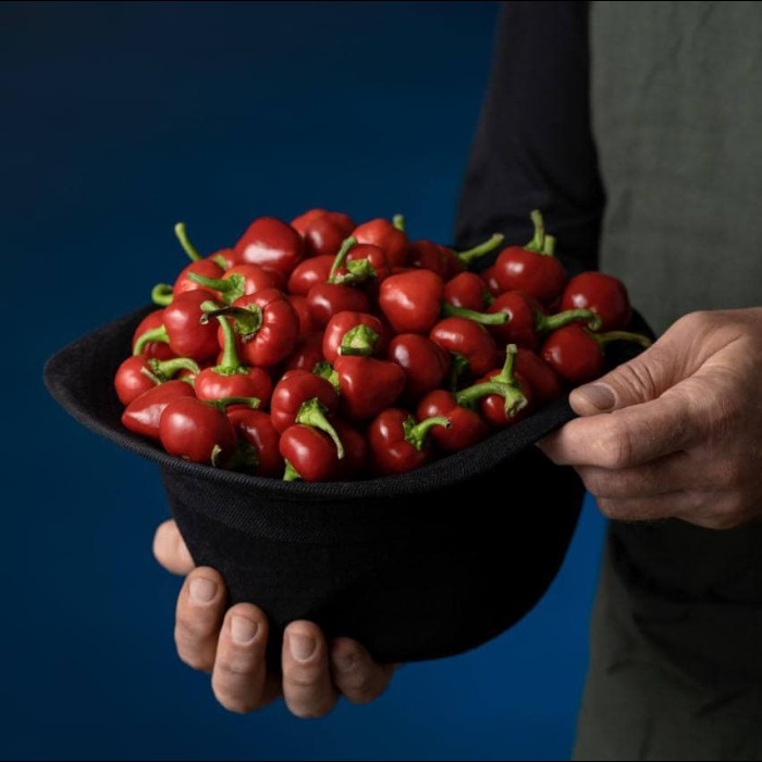 Cherry свіжий перець