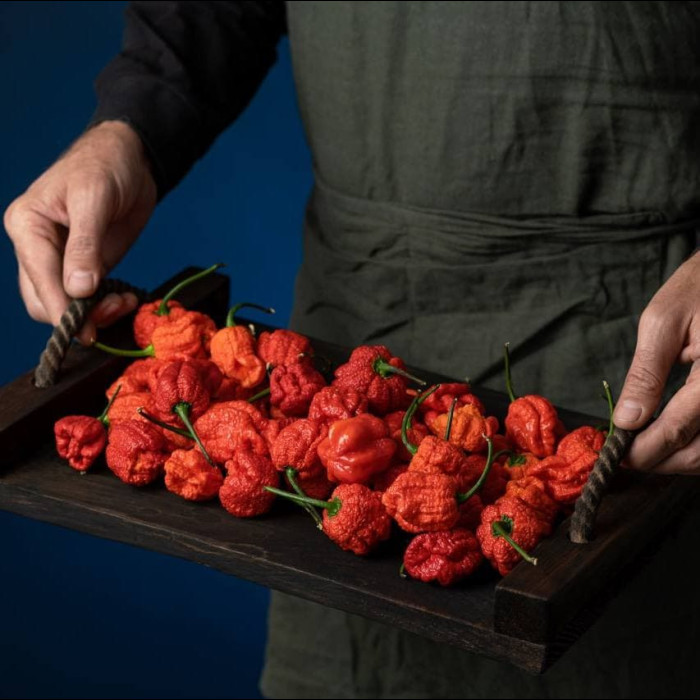 7 Pot Brain Strain Red свіжий перець