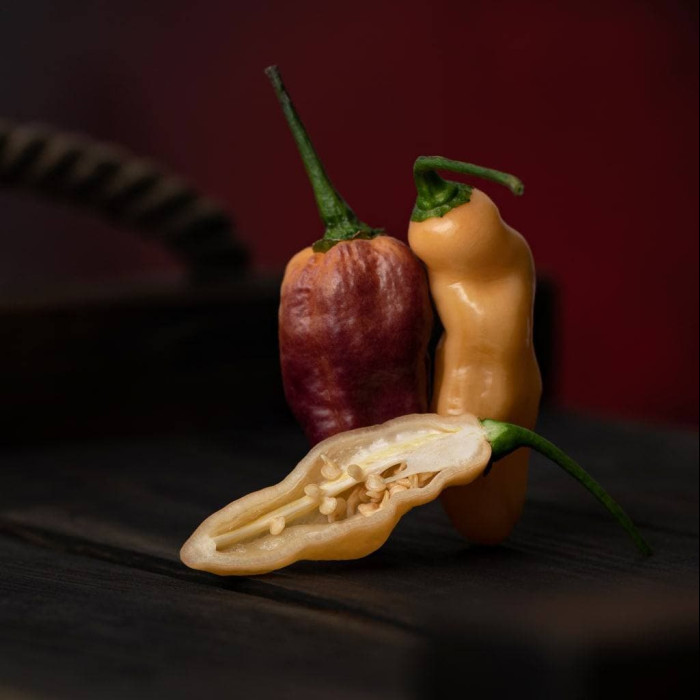 Pimenta Leopard Yellow свіжий перець