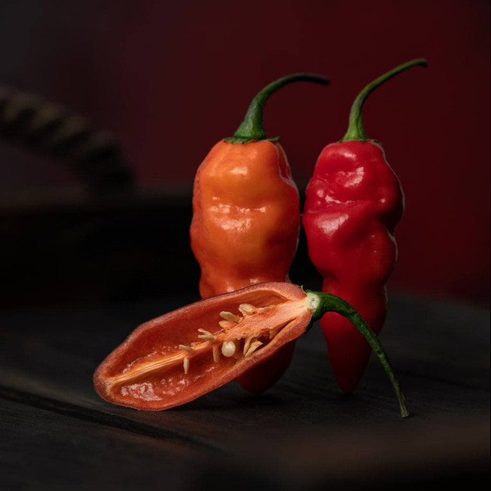 Pimenta Leopard Red свіжий перець