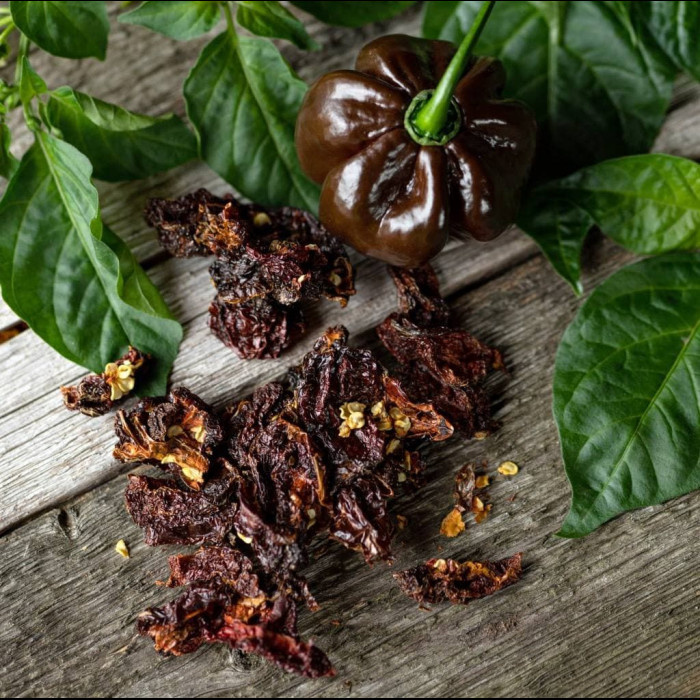 Habanero chocolate сушений перець 