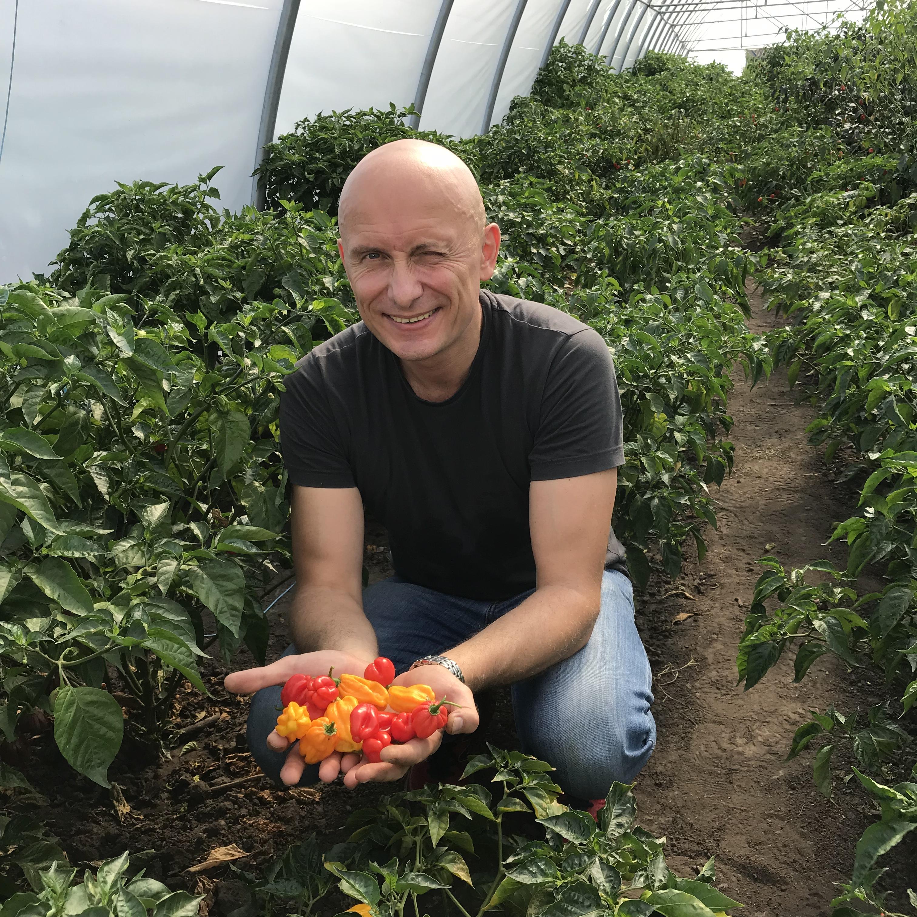 Ферма Вогняр 2